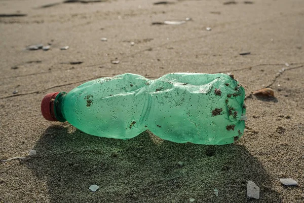 Frasco de lixo de plástico verde e concha na costa do mar, conceito de ecossistema poluído — Fotografia de Stock