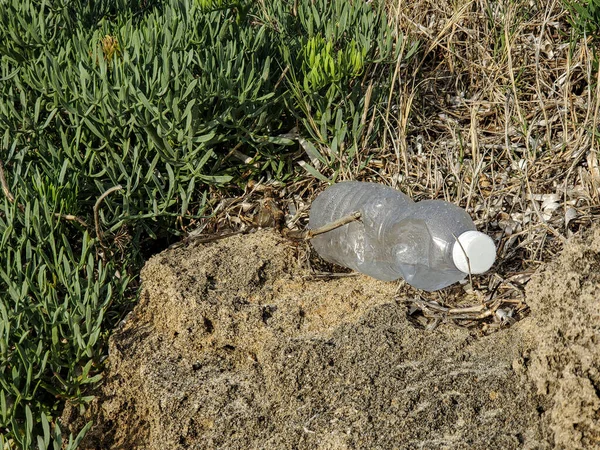 Plastic bottle waste on sea plants ecosystem,ocean trash contaminated habitat