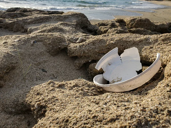 Prato plástico descartado resíduos em plantas marinhas ecossistema, lixo oceânico habitat contaminado — Fotografia de Stock