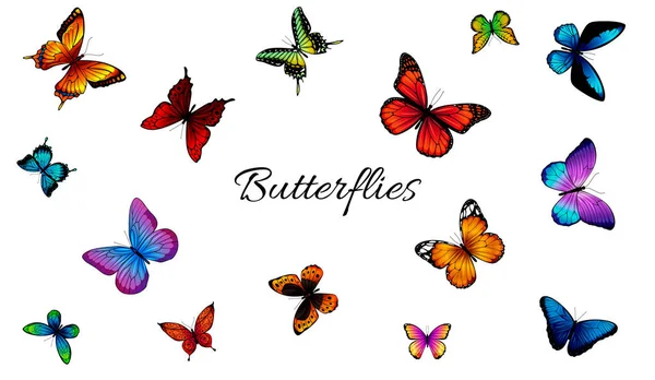Conjunto de diferentes borboletas coloridas . —  Vetores de Stock