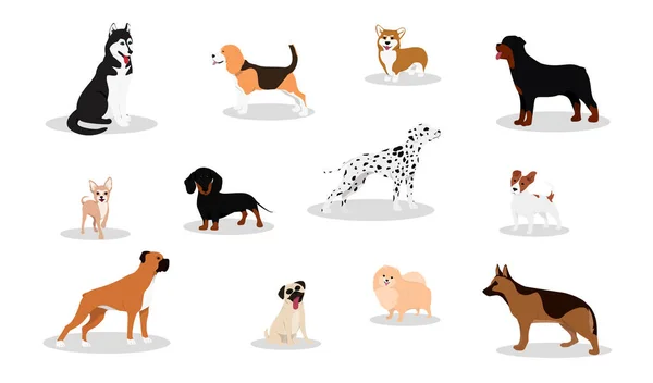 Diferentes razas de perros y conjunto mixto . — Vector de stock