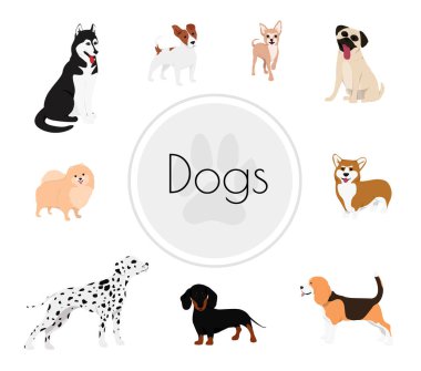 Farklı köpek türleri ve karışık setler..