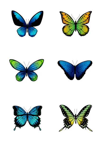 Sammlung farbiger Schmetterlinge. — Stockvektor