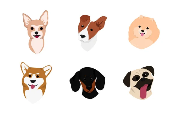 Chiens visage collection . — Image vectorielle