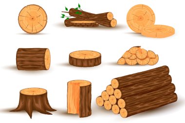 Wood material and manufactured products.