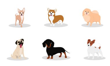 Farklı köpek türleri.. 