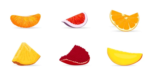 Stukken fruit. Vectorillustratie — Stockvector