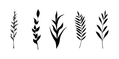 Siyah yaprak koleksiyonu.