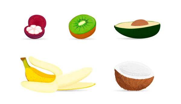 水果的碎片。Pieces kiwi, Avocado, coconut, banana and mangosteen. — 图库矢量图片