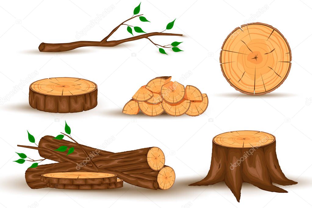 Wood log and trunk, stump and plank.