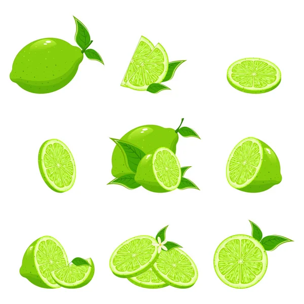 Collection de lime fraîche — Image vectorielle