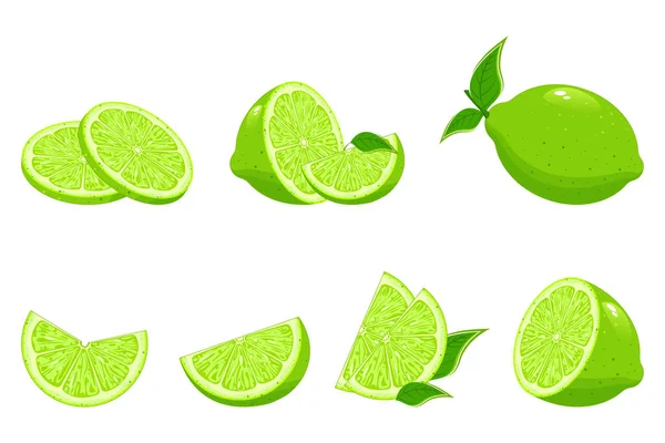 Collection de lime fraîche — Image vectorielle