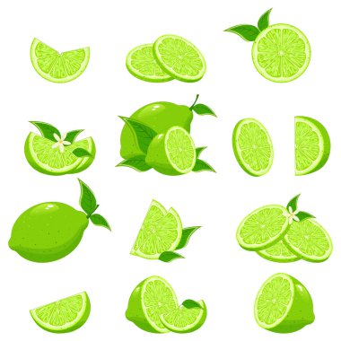 Taze kireç koleksiyonu