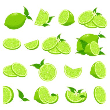 Taze kireç koleksiyonu