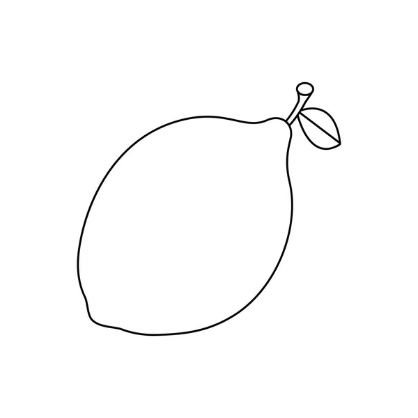 Lijntekening fruit — Stockvector