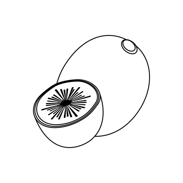 Line drawing fruit — Stock Vector