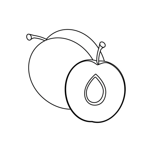 Ligne dessin fruit — Image vectorielle