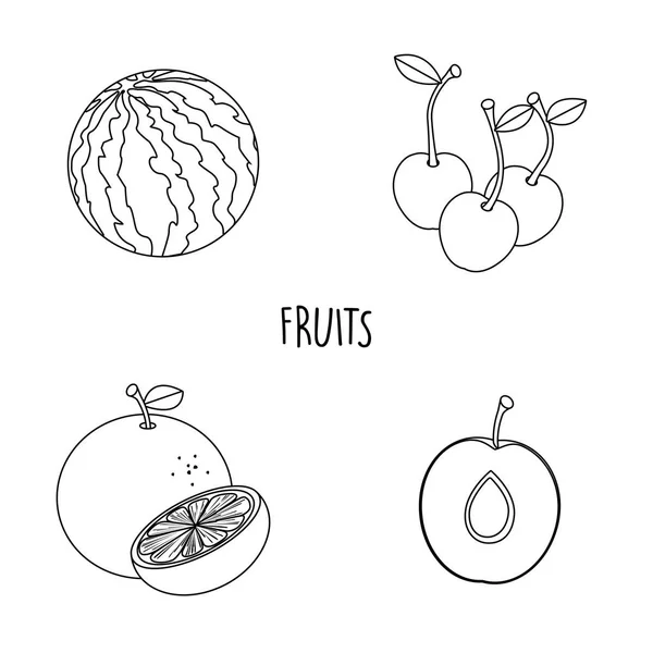 Línea de dibujo frutas — Vector de stock