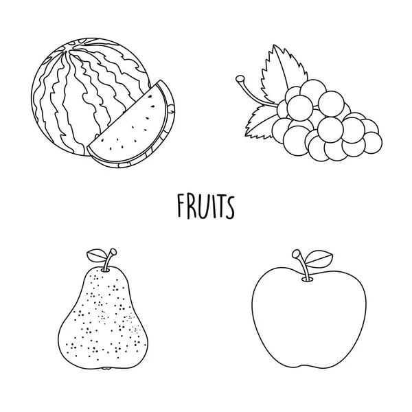 线描水果 — 图库矢量图片