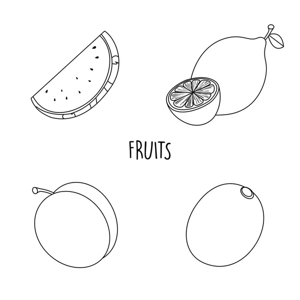 Line drawing fruits — Stock Vector