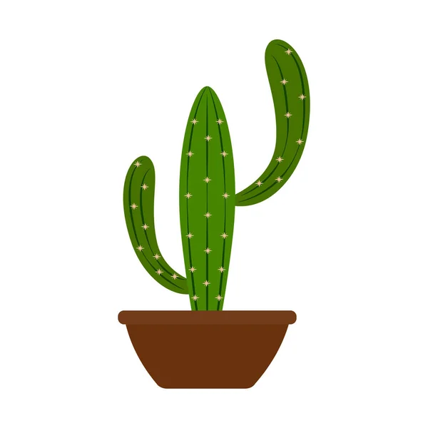 Cactus lindo abstracto — Vector de stock