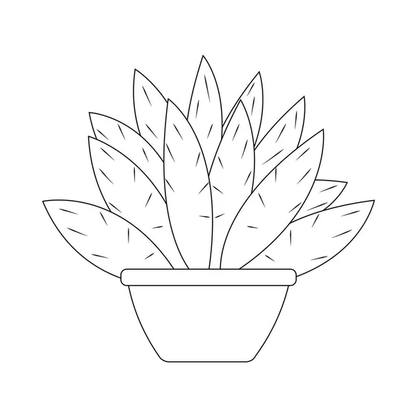 Cactus lindo abstracto — Vector de stock