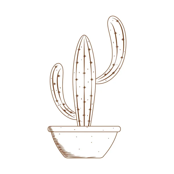Absztrakt aranyos kaktusz — Stock Vector