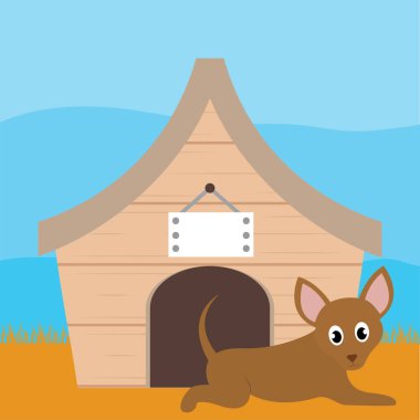 Evcil bir evde köpek