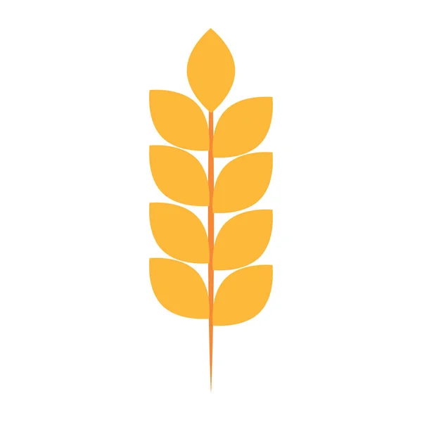 Izolowana ikona pszenicy — Wektor stockowy