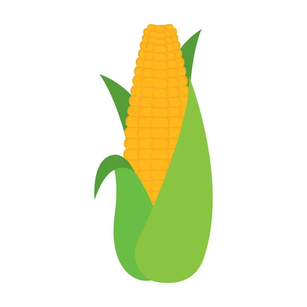 Corn cob icon — Stock Vector