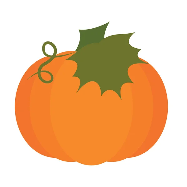 Icono de calabaza aislada — Vector de stock