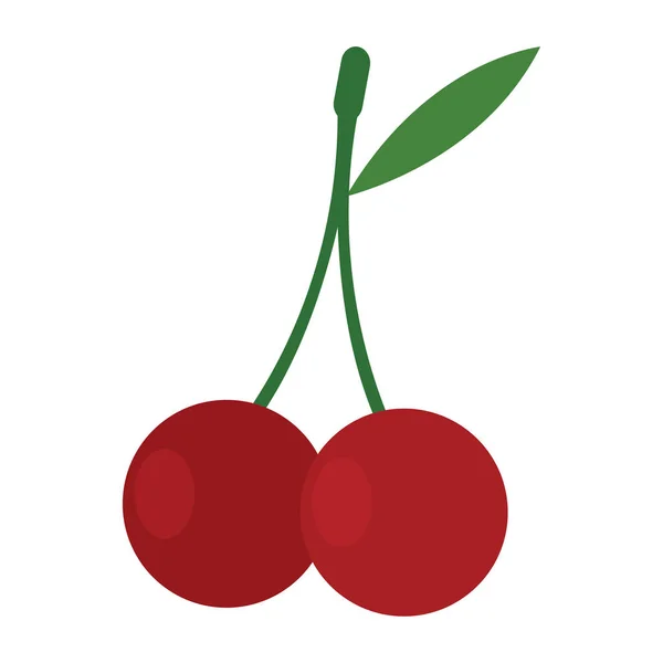 Isolated cherries icon — Stock Vector
