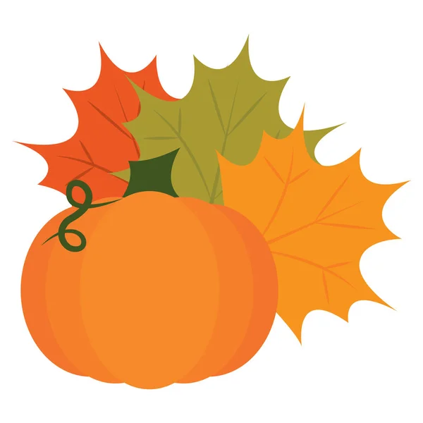 Pumpkin with leaves — Stock Vector