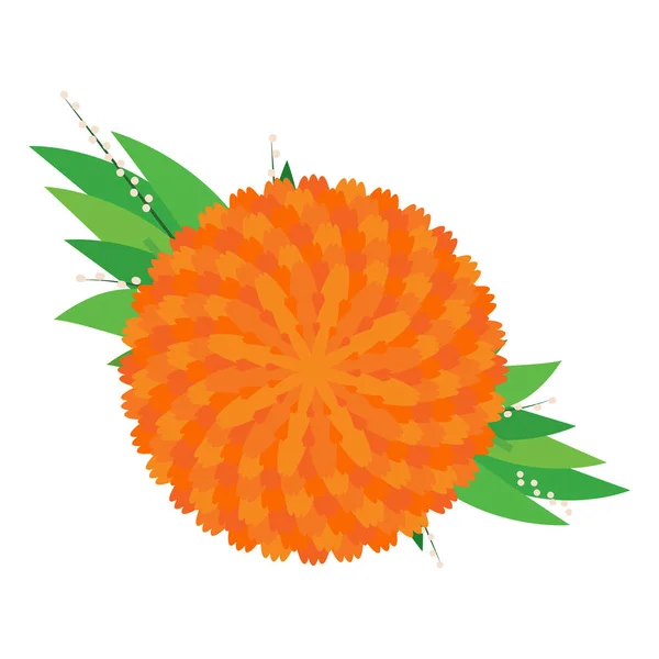 Orange flower image — Stock Vector