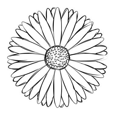 Ayrı bir çiçek çizimi.