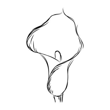 Ayrı bir çiçek çizimi.