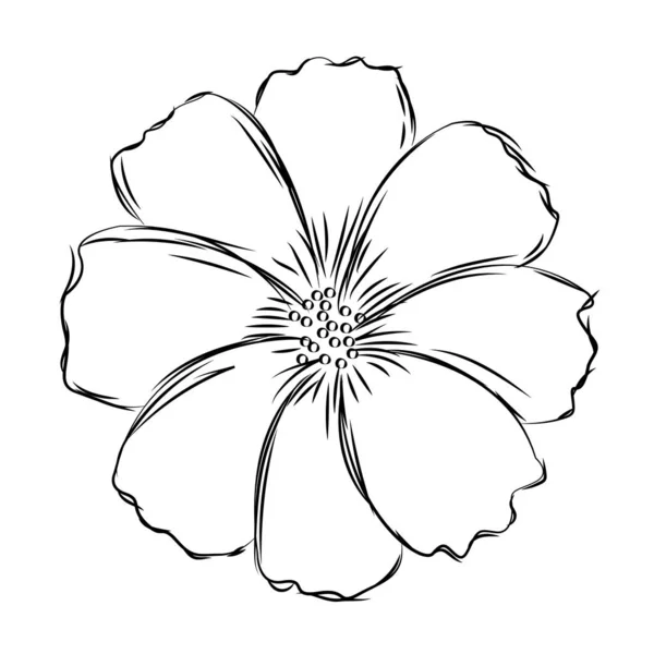 Esbozo aislado de una flor — Vector de stock