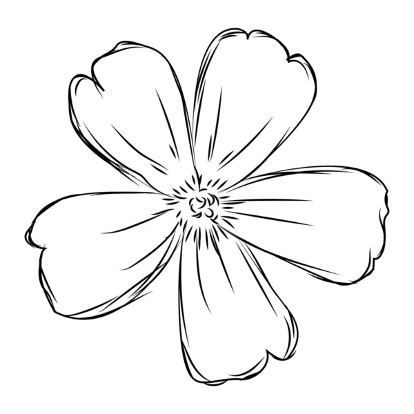 Croquis isolé d'une fleur — Image vectorielle