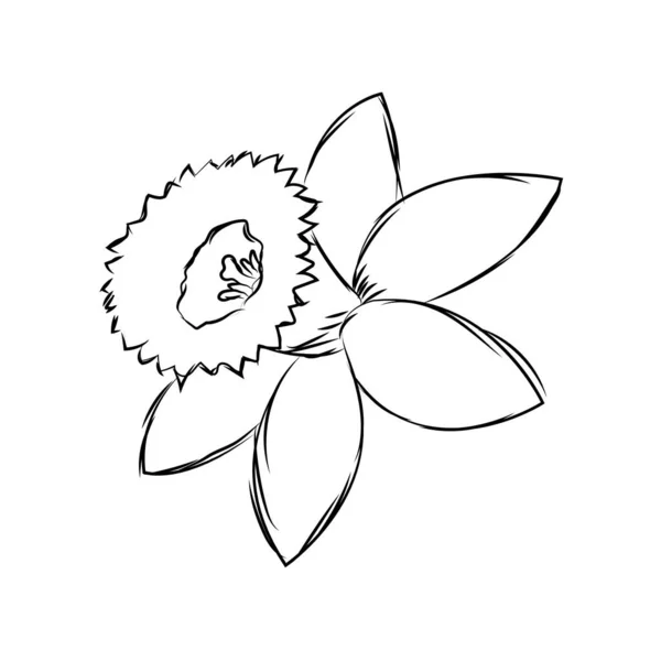 꽃의 독특 한 스케치 — 스톡 벡터