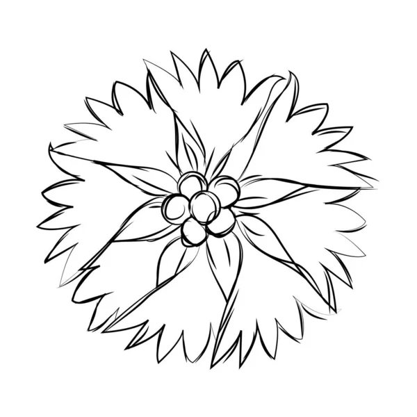 Esbozo aislado de una flor — Vector de stock