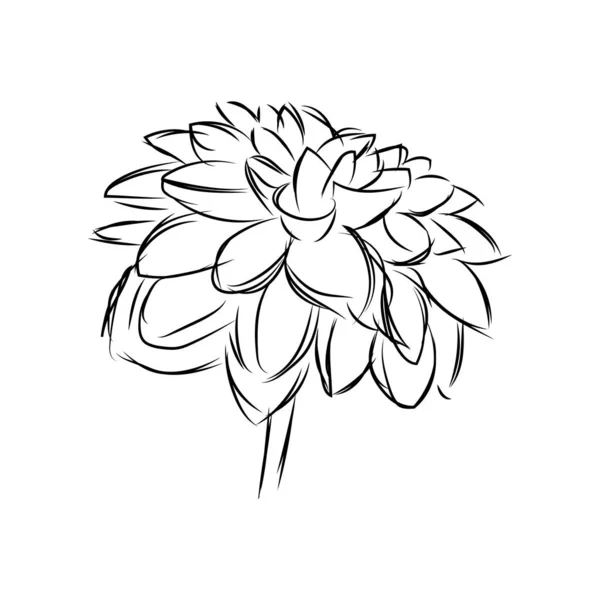 Isolated sketch of a flower — Stock Vector