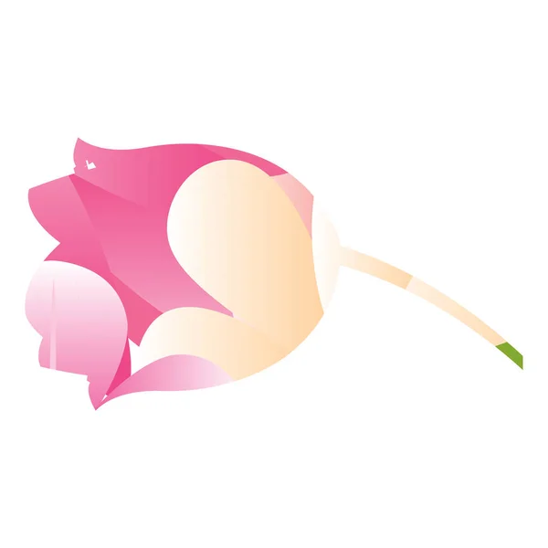 ピンクのバラのシルエット — ストックベクタ