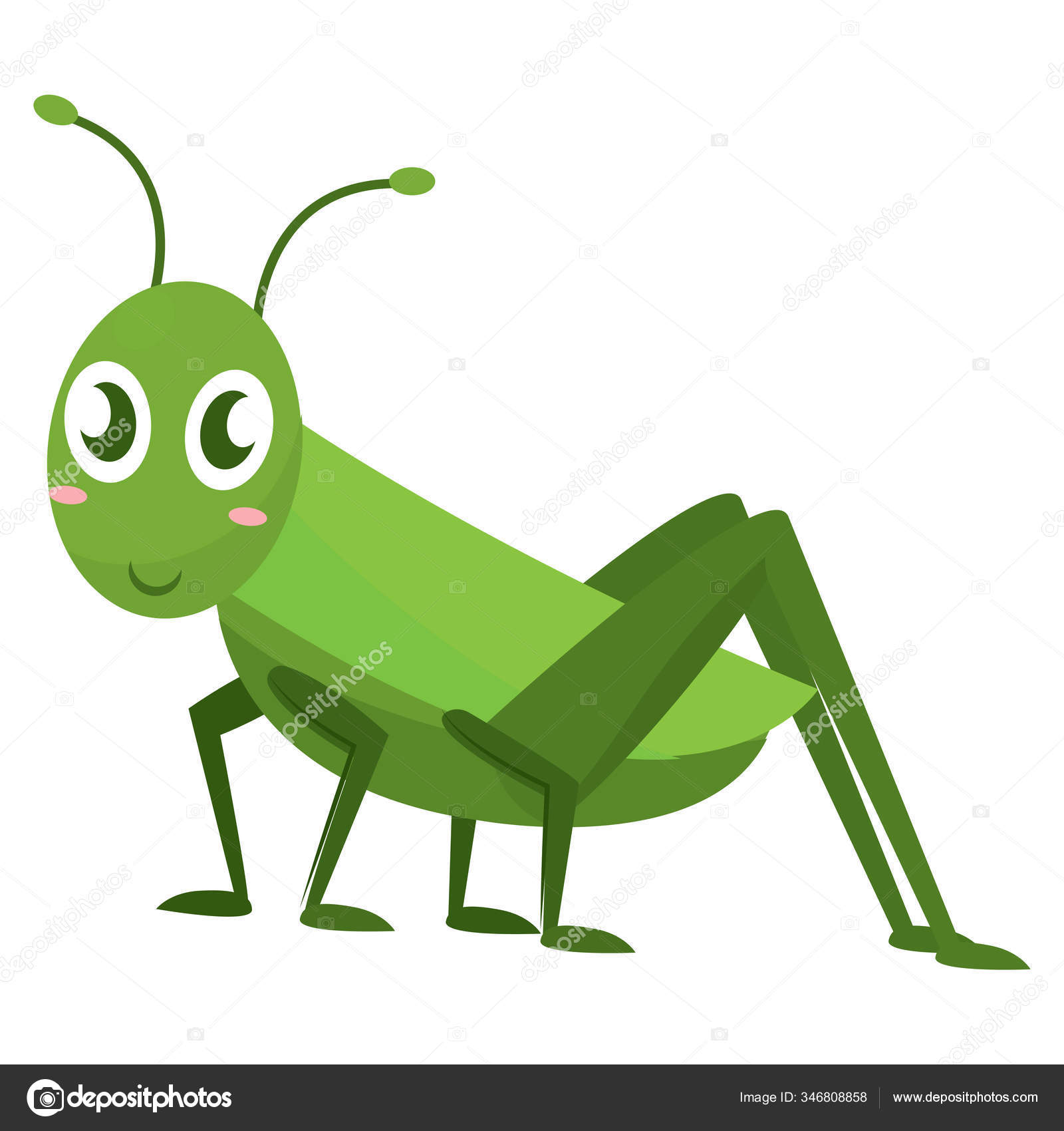 Cricket cartoon Vector Art Stock Images | Depositphotos Cricket cartoon Vector Art Stock Images | Depositphotos