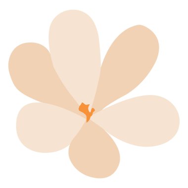 İzole edilmiş güzel çiçek.