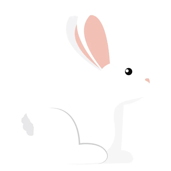 Pequeño conejo aislado — Vector de stock