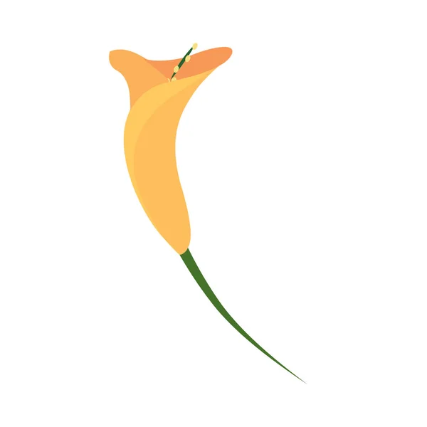 Flor hermosa aislada — Vector de stock