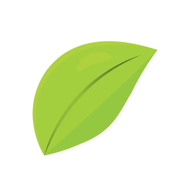Odizolowany zielony liść — Wektor stockowy
