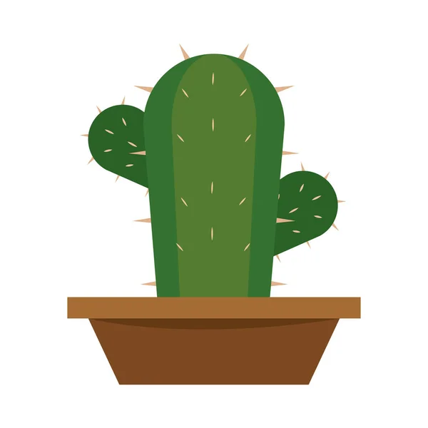 Cactus icon in a pot plant — Stock Vector