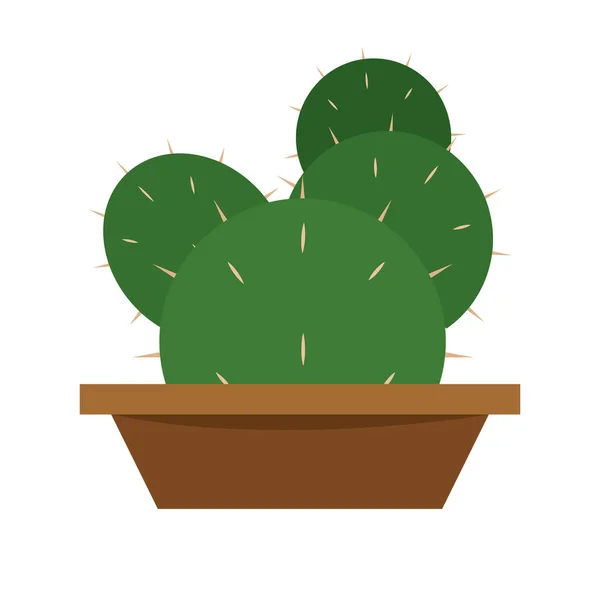 Cactus icon in a pot plant — Stock Vector