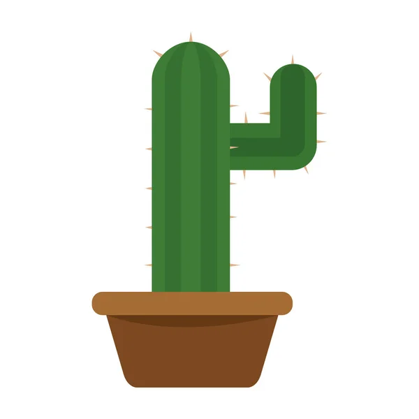 Cactus icon in a pot plant — Stock Vector